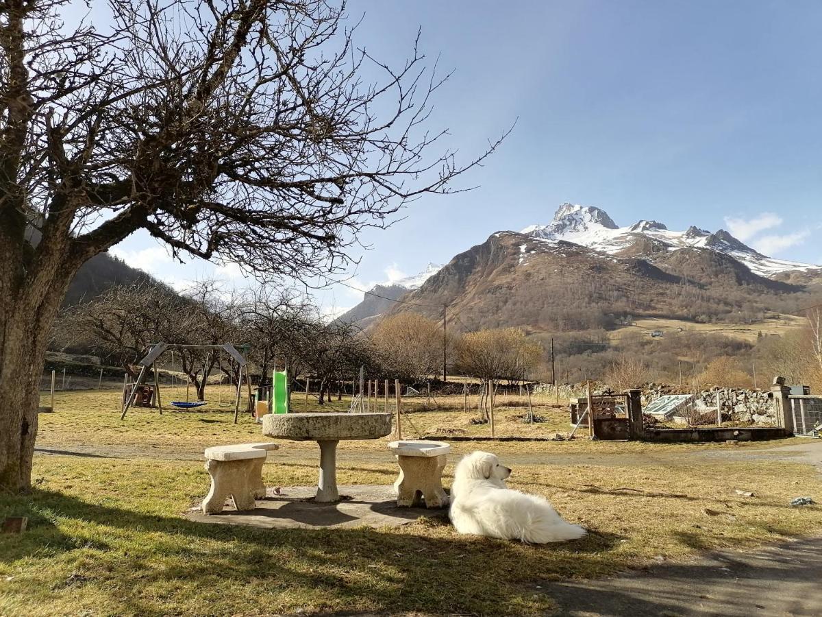 Aux D'Estaing Croises, Gite De Montagne Accessible A Tous Exteriör bild