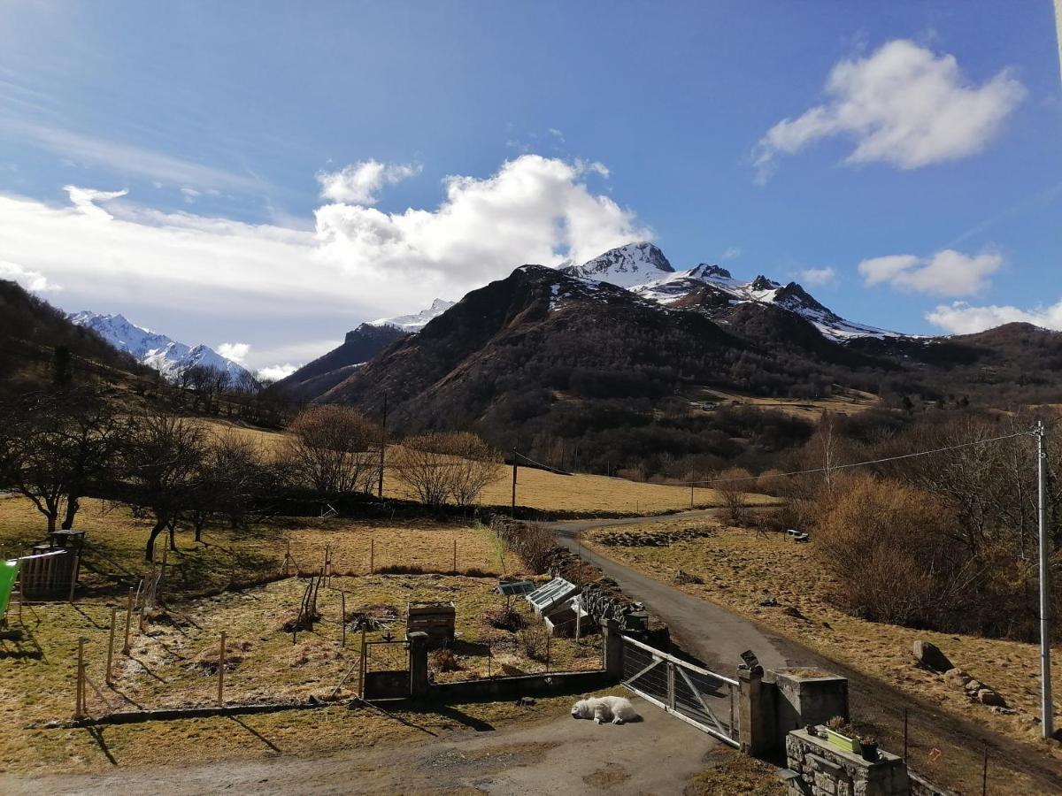 Aux D'Estaing Croises, Gite De Montagne Accessible A Tous Exteriör bild